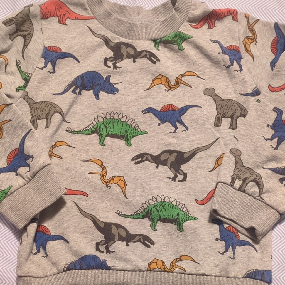 Boys Sweatshirts